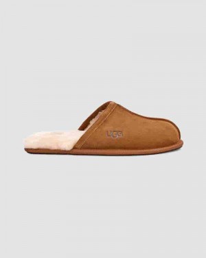 UGG Scuff Tøfler Herre Brune | DKJ8668P