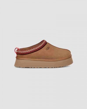 UGG Tazz Tøfler Dame Kaffe | DKW8579N