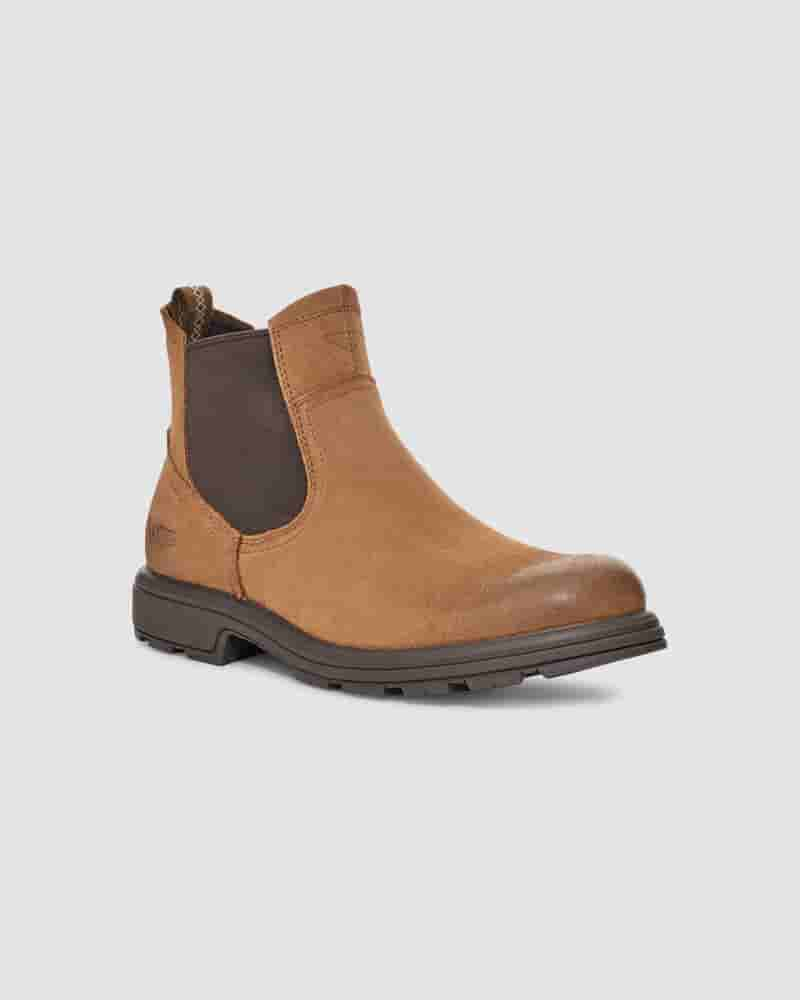 UGG Biltmore Chelsea Støvler Herre Brune | DKQ8633M