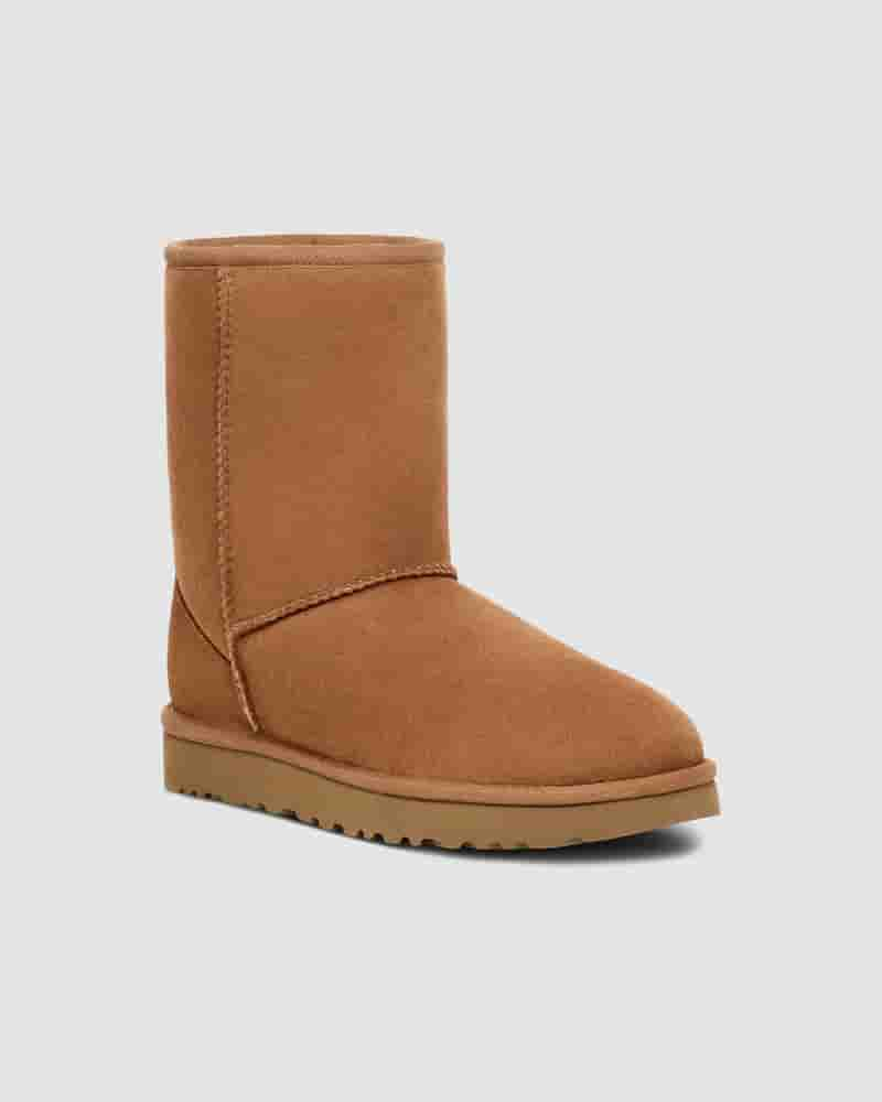 UGG Classic Short Støvler Herre Brune | DKR8636V