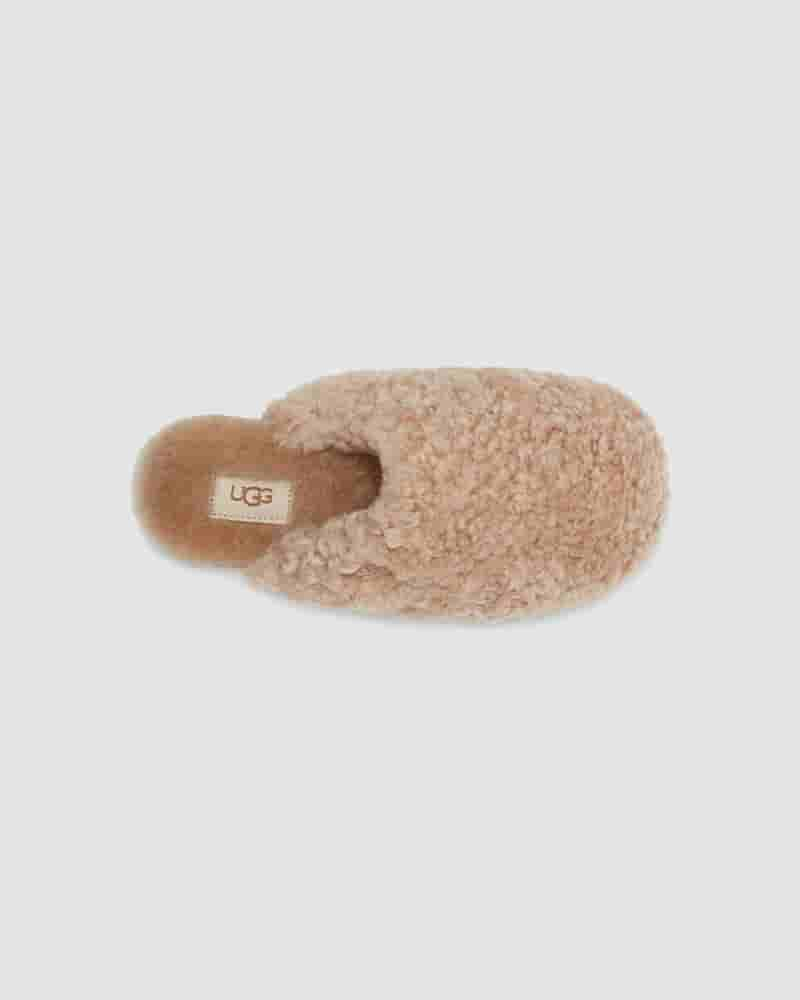 UGG Maxi Curly Slide Tøfler Dame Brune | DKM8607Q