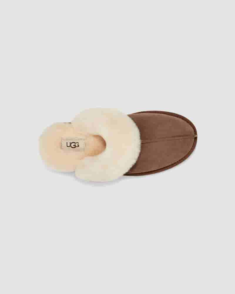 UGG Scuffette II Tøfler Dame Chokolade | DKA8591H