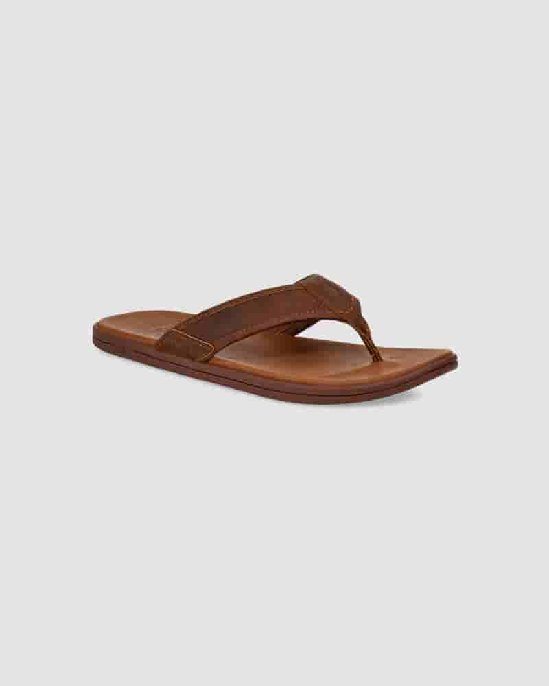 UGG Seaside Leather Flip Flop Sandaler Herre Kaffe | DKC8654T