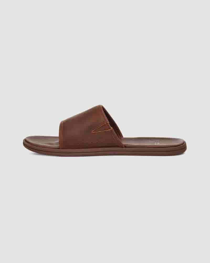 UGG Seaside Slide Sandaler Herre Kaffe | DKN8657W