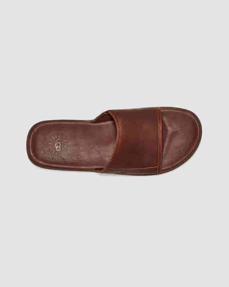 UGG Seaside Slide Sandaler Herre Kaffe | DKN8657W