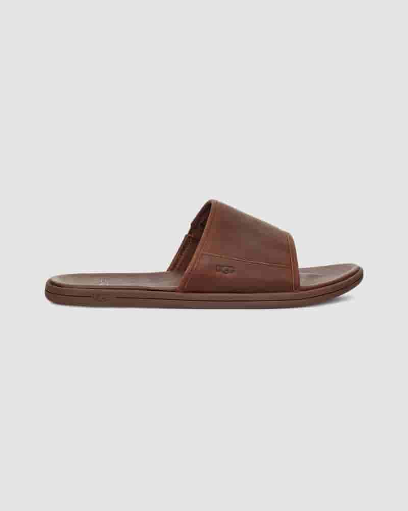 UGG Seaside Slide Sandaler Herre Kaffe | DKN8657W