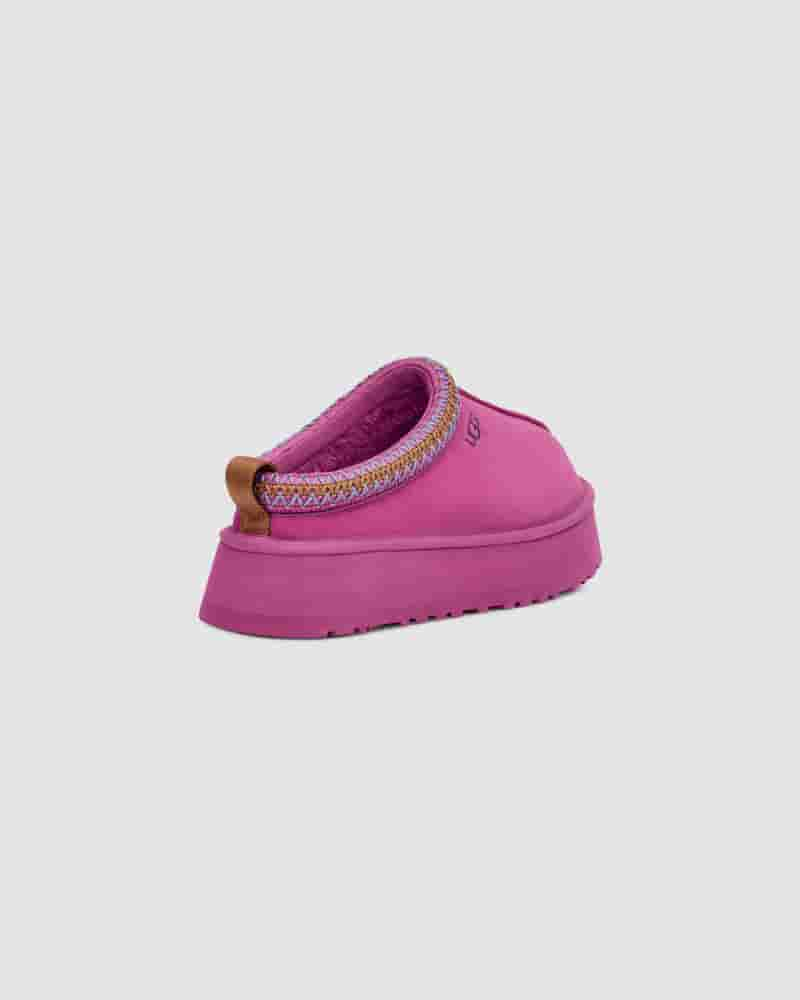 UGG Tazz Tøfler Dame Lilla | DKE8578B